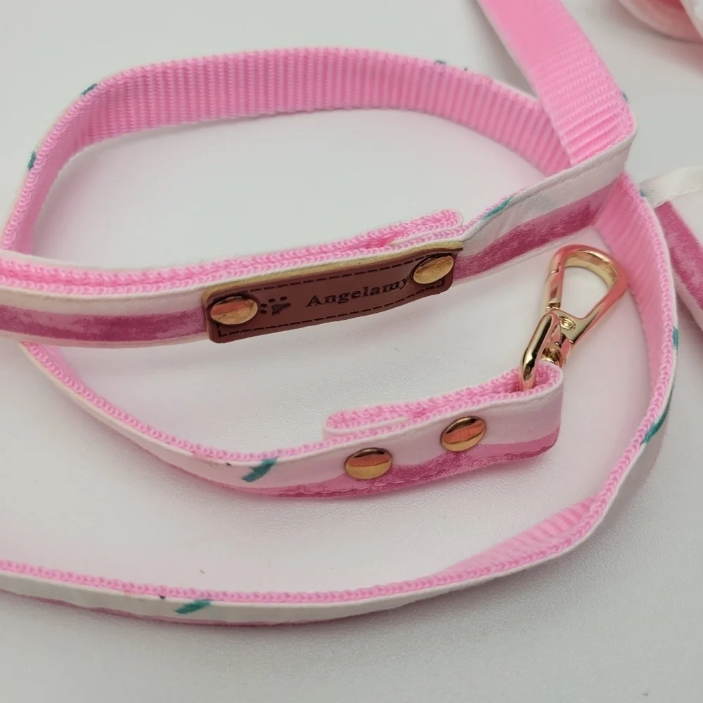 Dog harness with leash watermelon